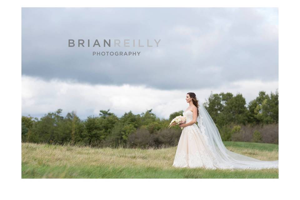 Brian Reilly Photography