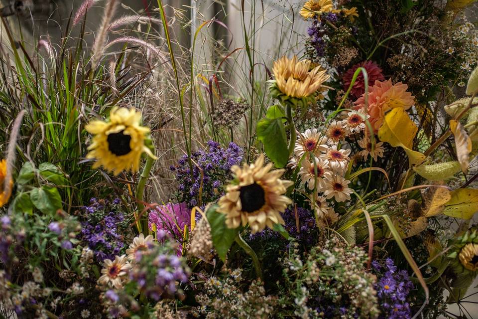 Ceremony meadow