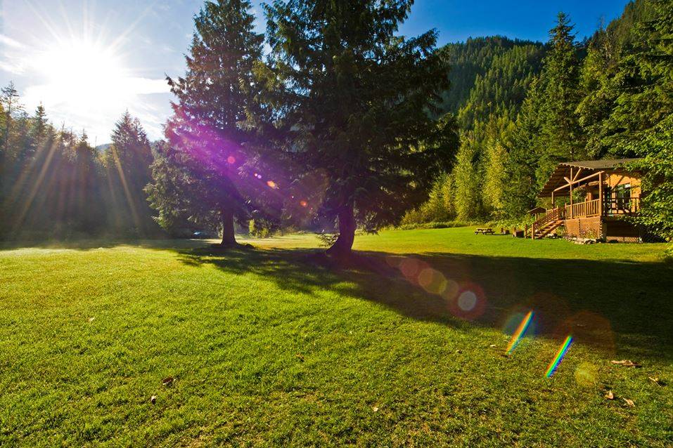 Meadow in mountains