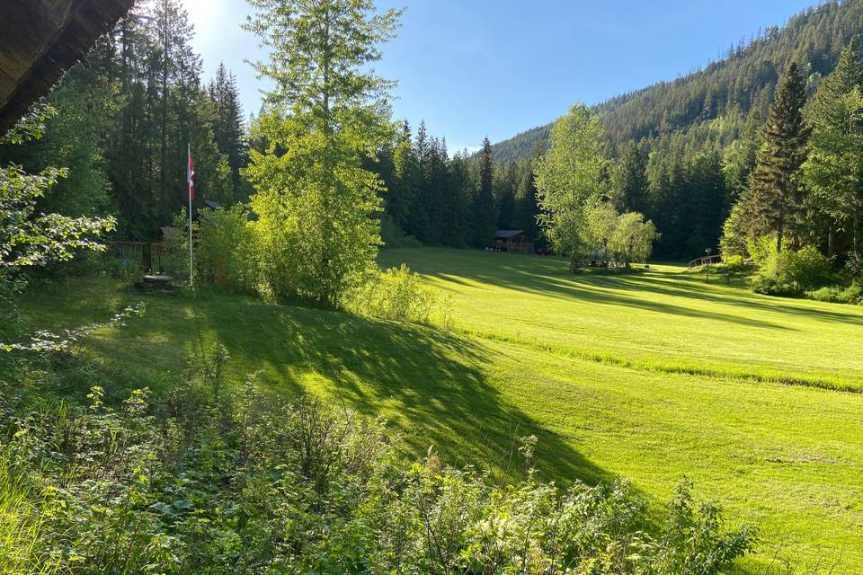 Meadow for tent