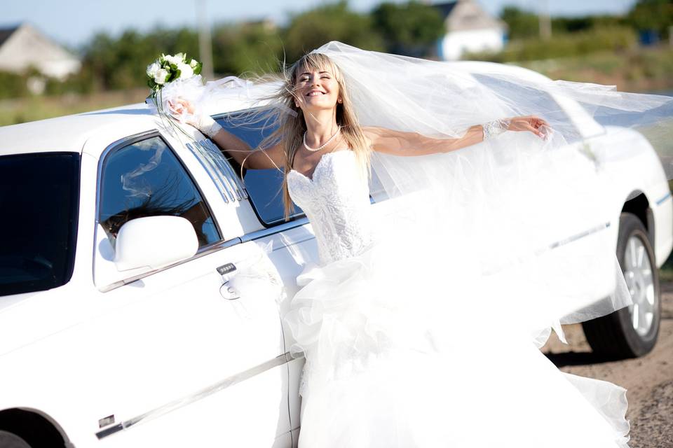 Fly Limousine Services