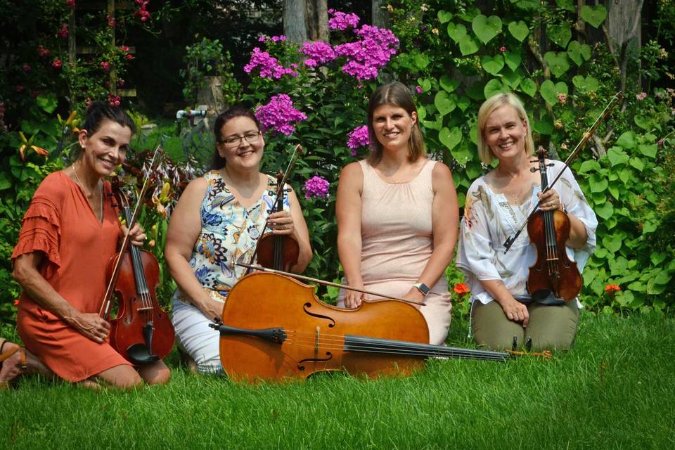 Wedding string quartet