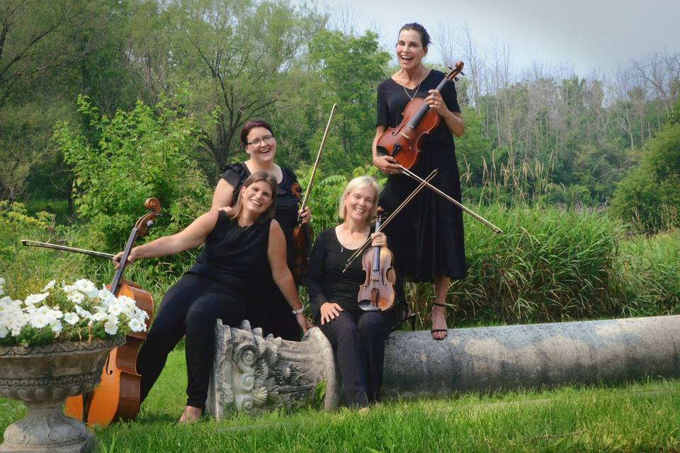 String Quartet