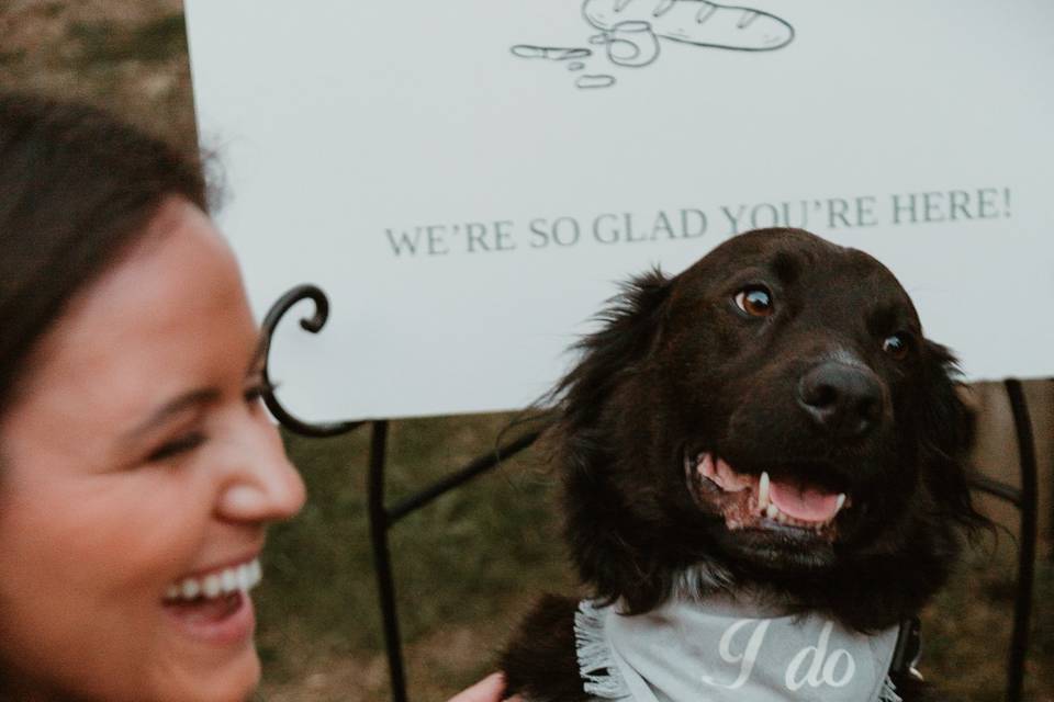 Dog and bride