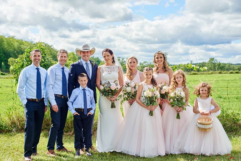 Horses bride groom