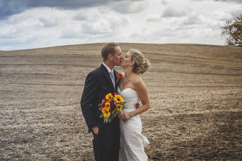 Sky field sunflowers kiss