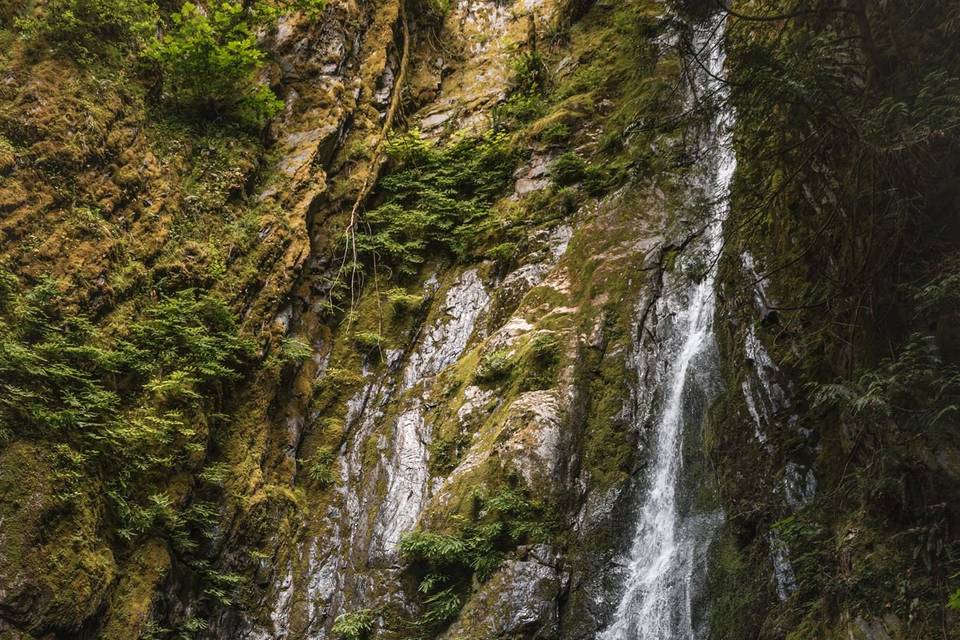 Waterfall wedding