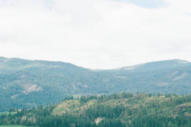 Kelowna Wedding Photographer