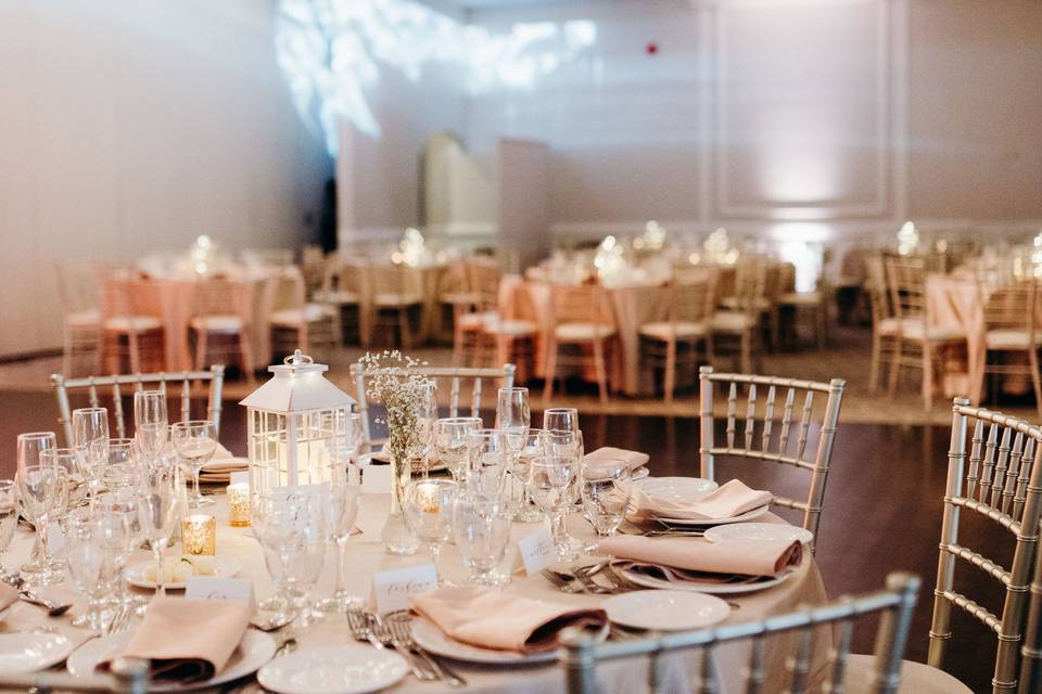 Cake Table & Backdrop