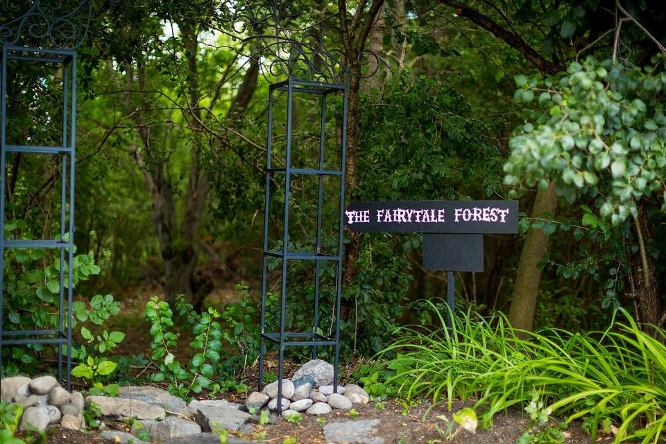 Fairytale forest walk