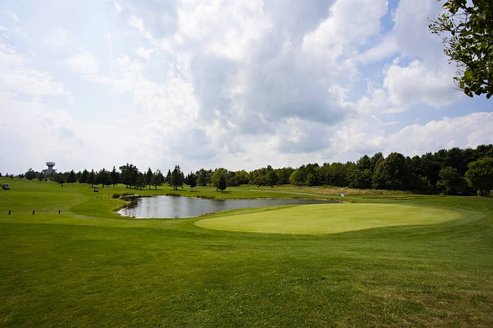 The course- Photo Opportunity