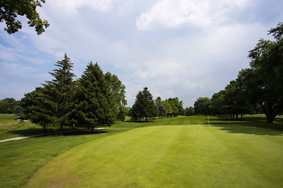 The course- Photo Opportunity