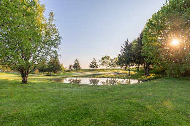 Our Grounds