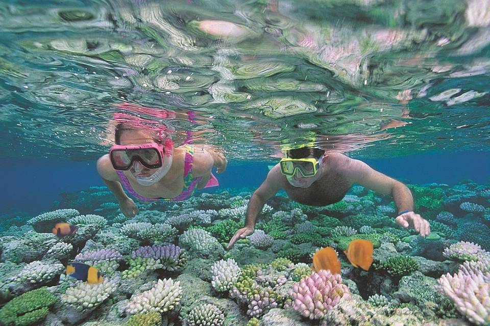 Snorkeling Tahiti