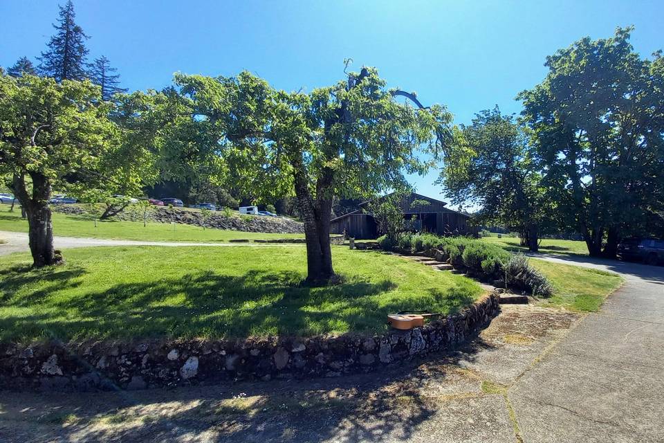 Stone Bridge Island Farm