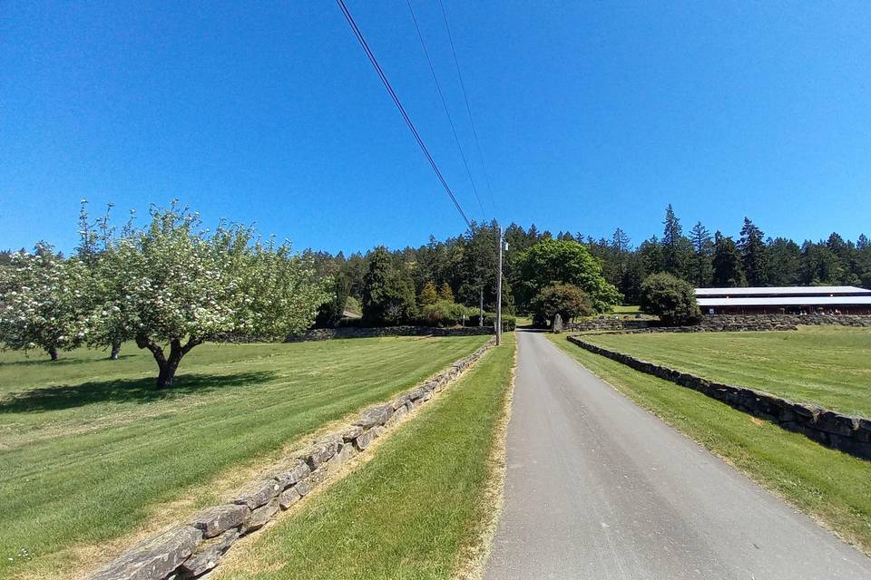 View from driveway