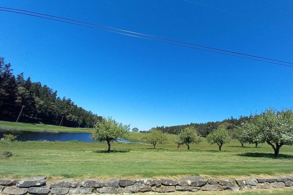 View of the ponds from drivewa