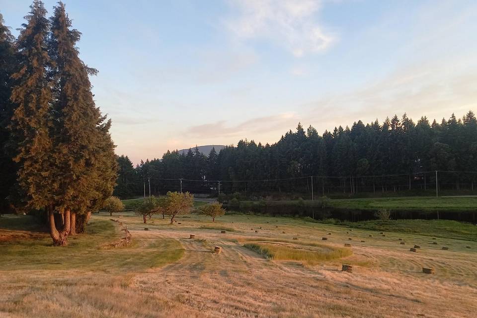 Field with bales.