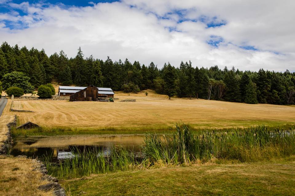 Stone Bridge Island Farm