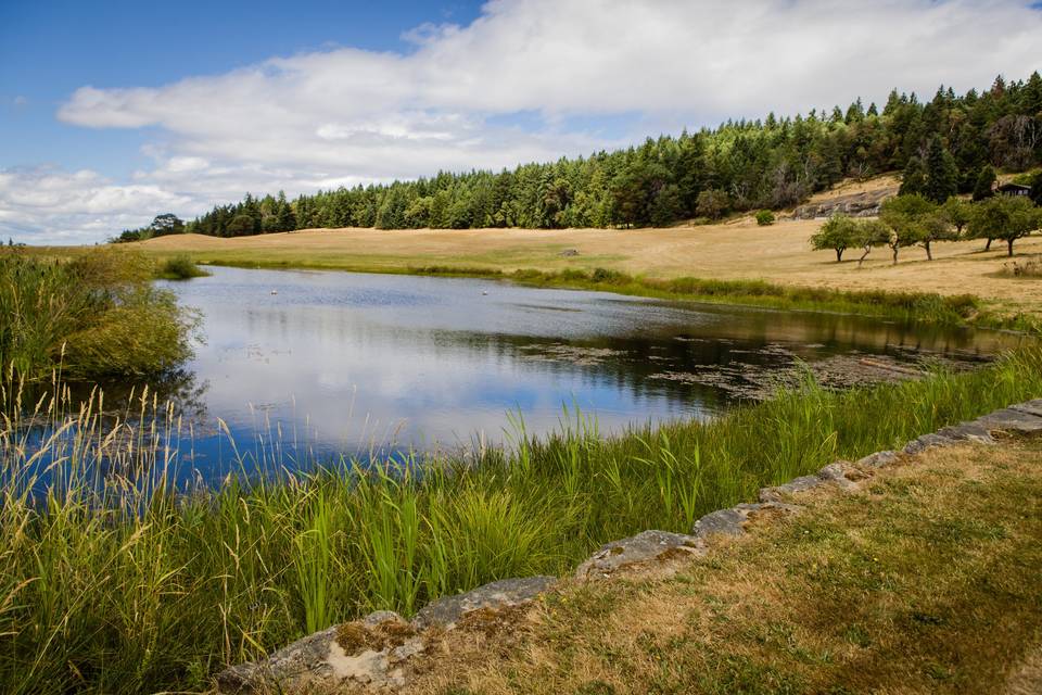 Stone Bridge Island Farm