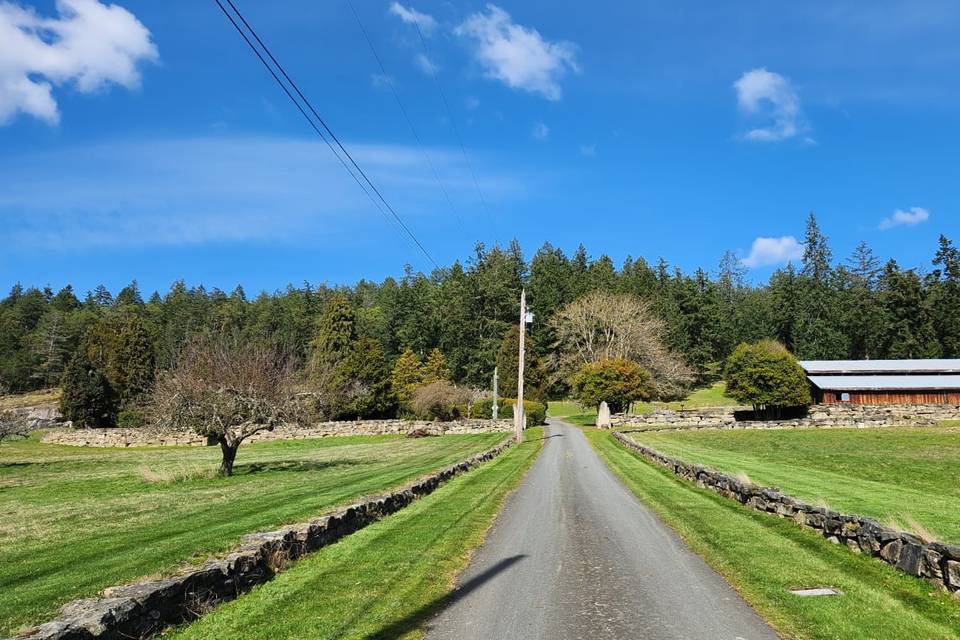 View of driveway