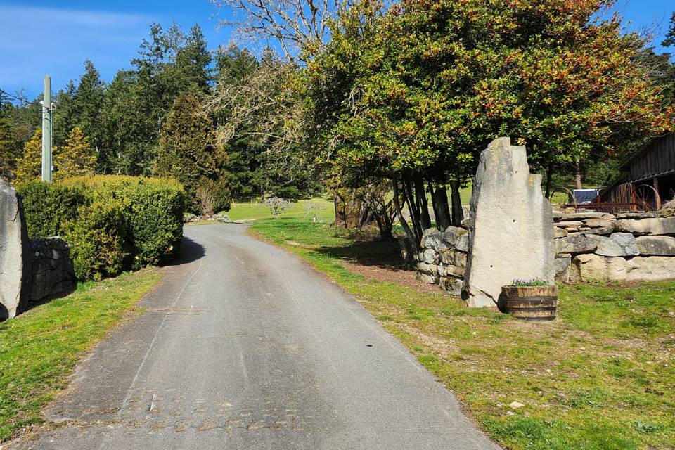 Our driveway (barn to right).