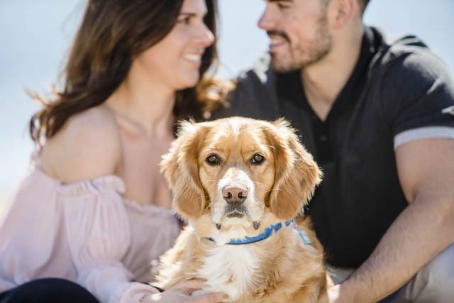 Vaughan wedding photography