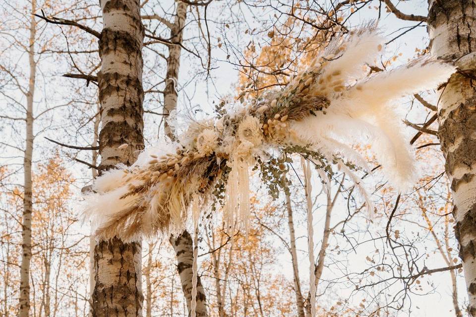 Fall Elopement