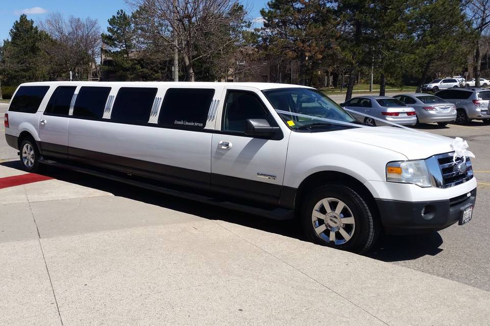 Erinmills Limousines