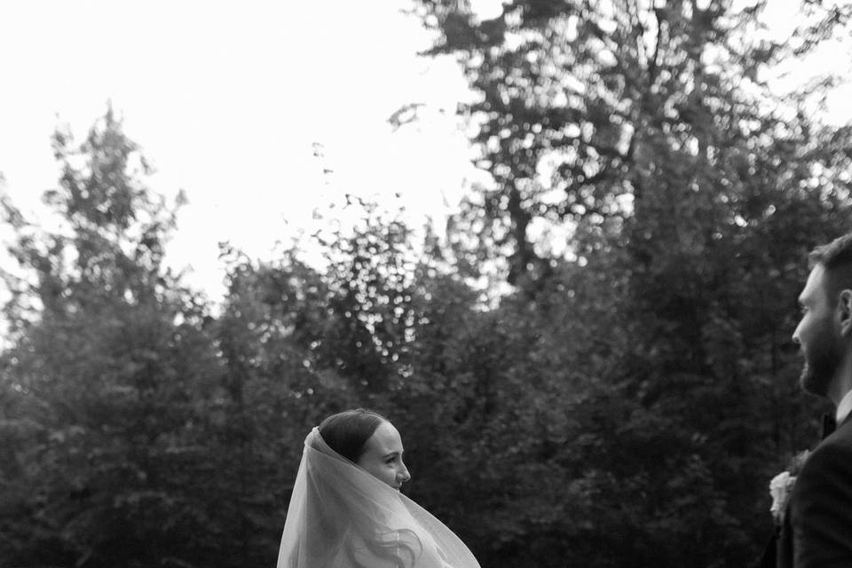 Beautiful veil
