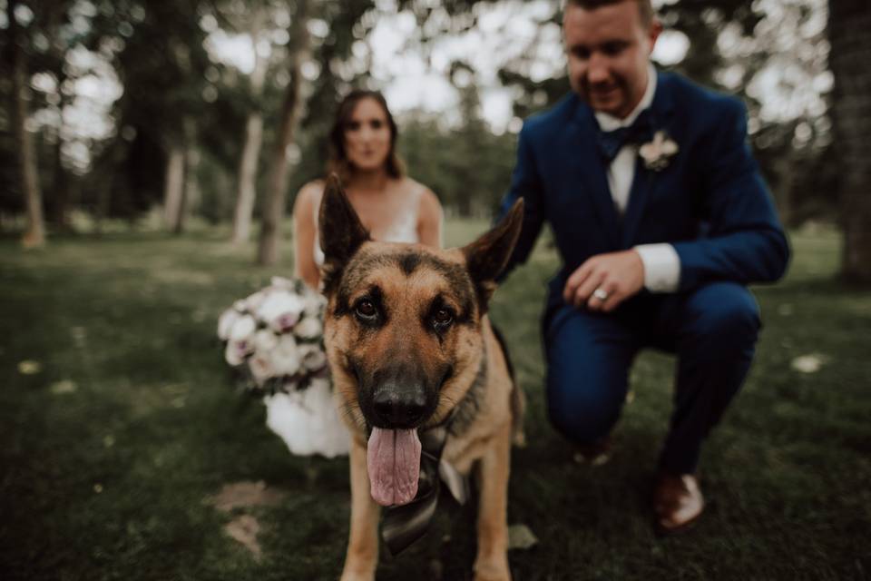 Bride and groom family photo