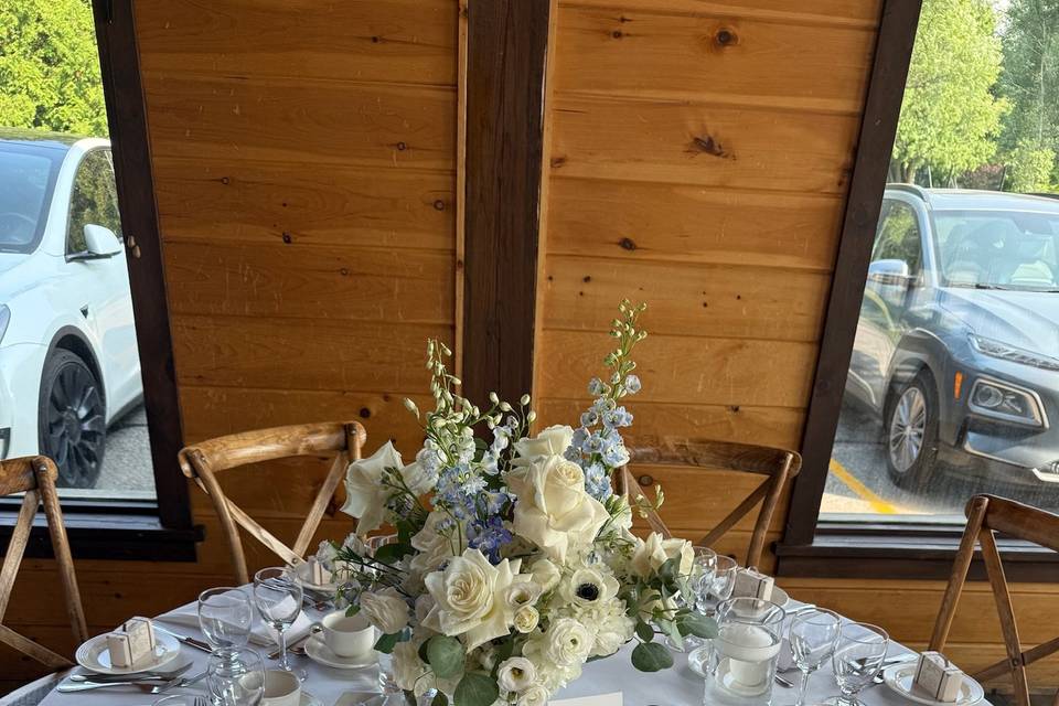 Newmarket, Ontario wedding cat