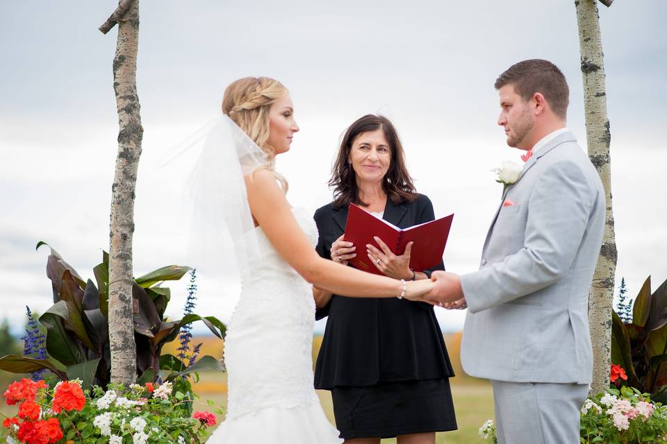 All Seasons Weddings - Officiant - Toronto 