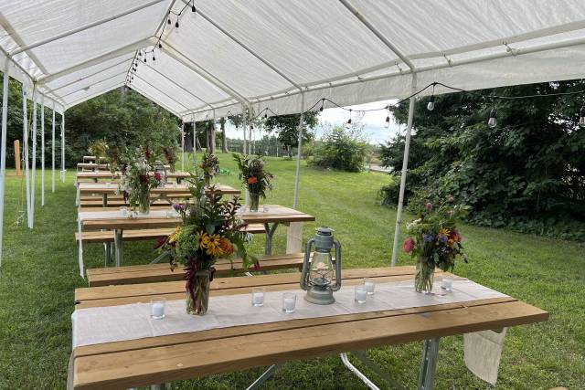 Green space for outdoor dining