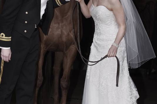 Horse_wedding_photograpahy