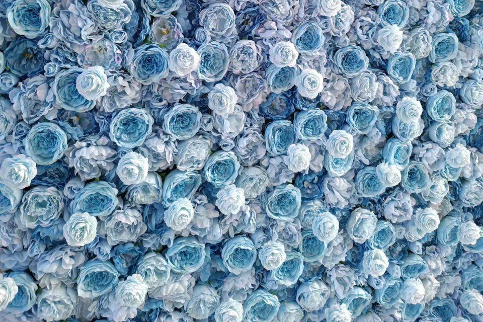 Blue flower wall