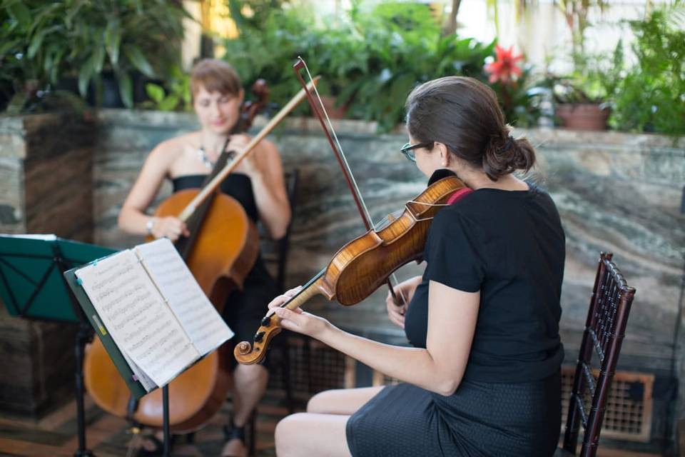 Violin and cello performance