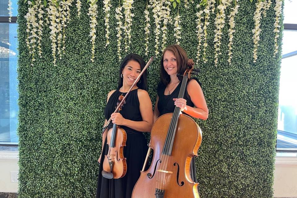 Violin and cello duo