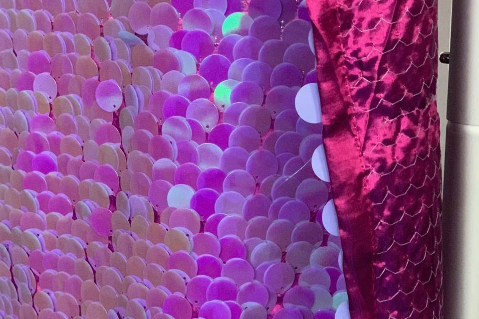 Backdrop Purple Sequin 2