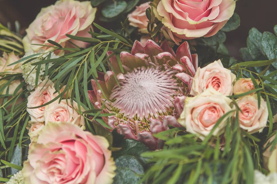 Protea Bouquet