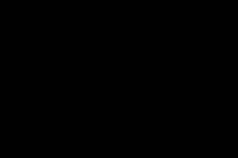 Black Hollydays Logo