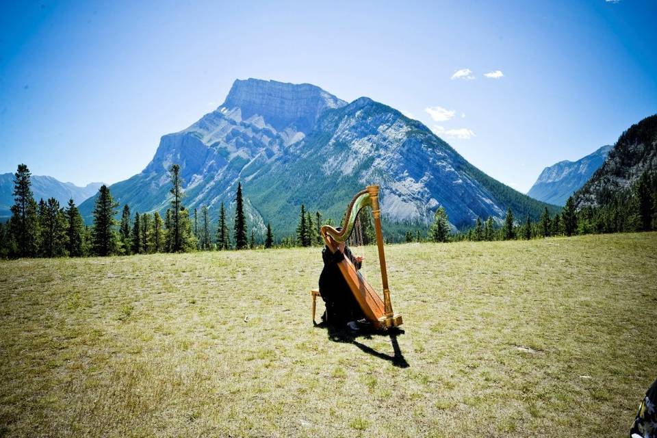 Harp Angel - Harpist