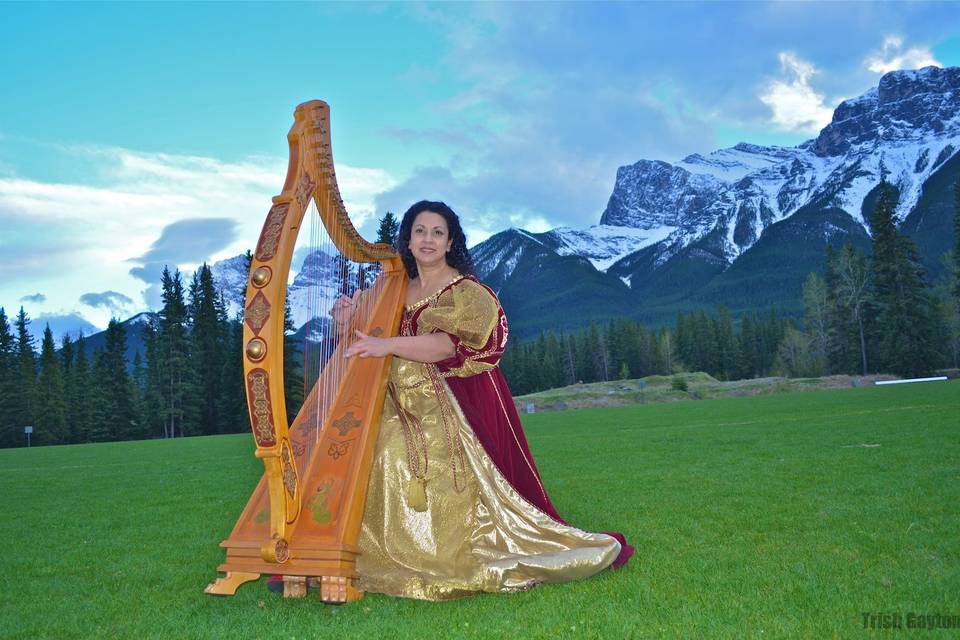 Harp Angel - Harpist