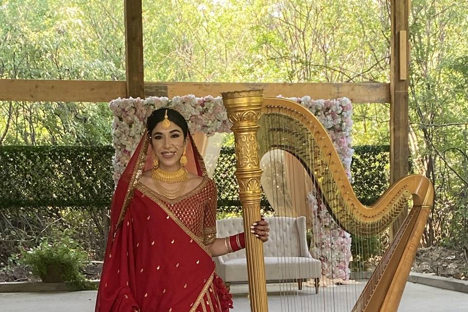 Gold Harp at Indian Wedding