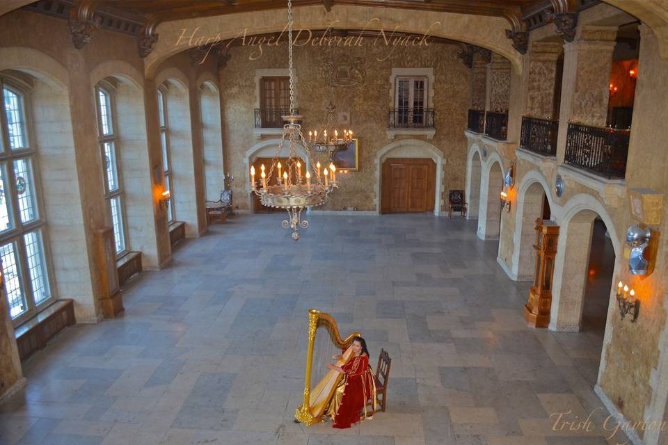 Harpist in venue