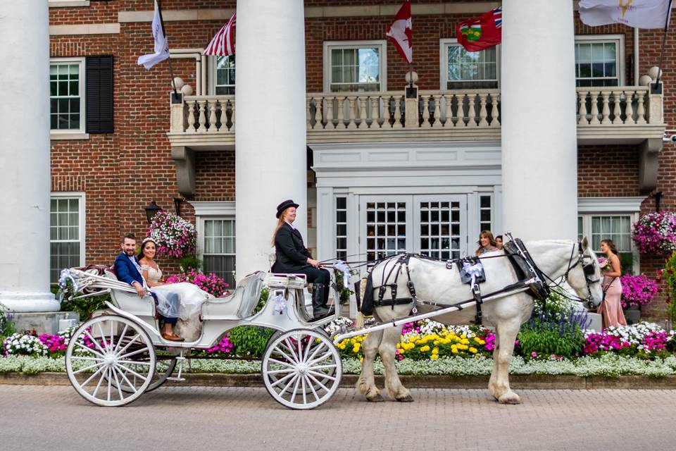 Horse & Carriage