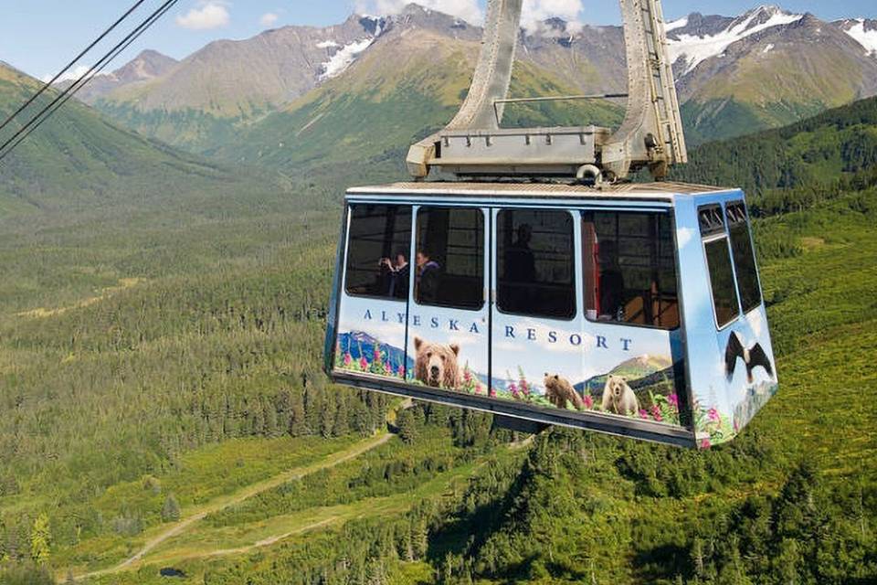 Gaba Travel LTD.