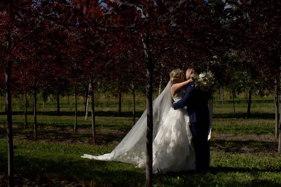 Bride & Groom / Greenblade