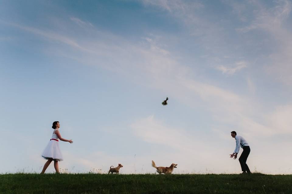 Fun on the meadow