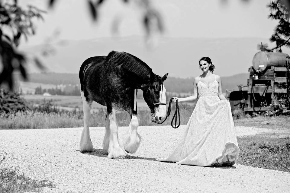 Bridal portrait